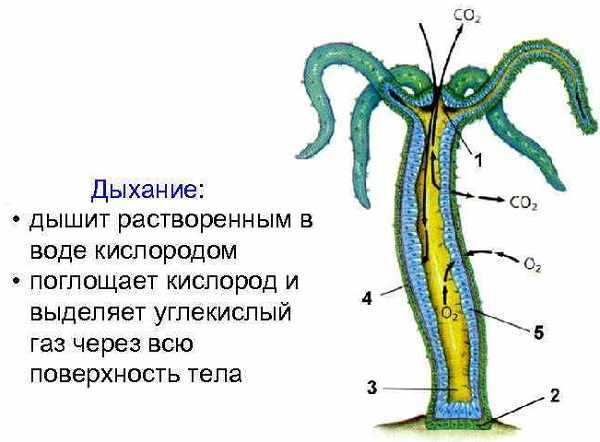 Kraken 23 at