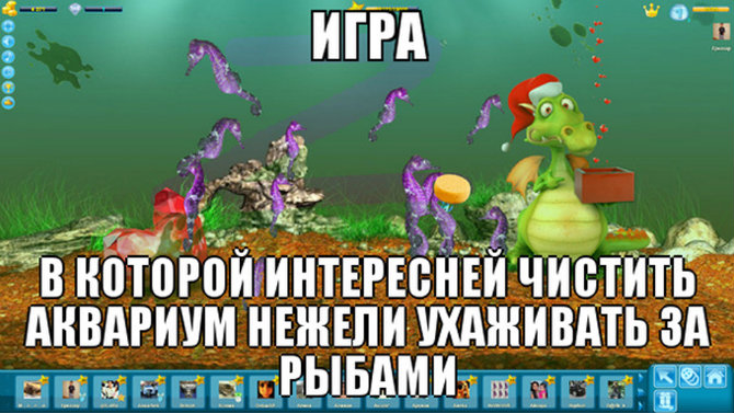 Kraken 12 at что это